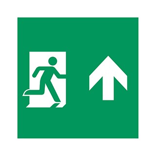 Пиктограмма EMGP-MARK-MA-UP (Человек, Вверх) (Arlight, Пластик)