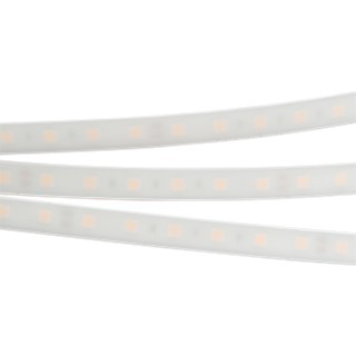 Лента герметичная RTW-PW-B60-13mm 24V Day4000 (14.4 W/m, IP66, 5060, 5m) (Arlight, -)