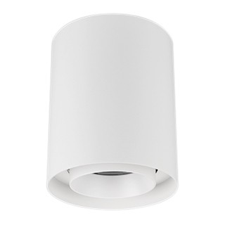 Светильник SP-FOCUS-R132-24W Warm3000 (WH, 24 deg, 230V) (Arlight, IP54 Металл, 5 лет)