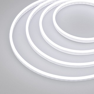 Образец Гибкий неон GALAXY-1206-5000CFS-2835-100 12V White 0.5M (12x6mm, 12W, IP67) (Arlight, 12 Вт/м, IP67)