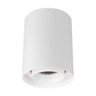 Светильник SP-FOCUS-R110-18W Warm3000 (WH, 24 deg, 230V) (Arlight, IP54 Металл, 5 лет)